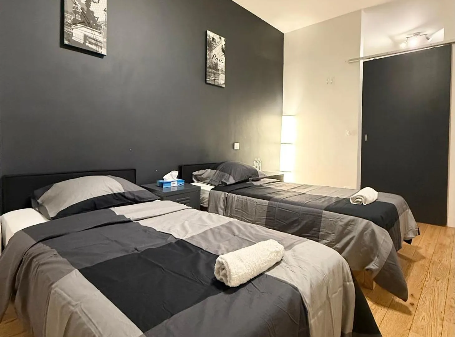 Family Champs Elysees Appartement パリ フランス